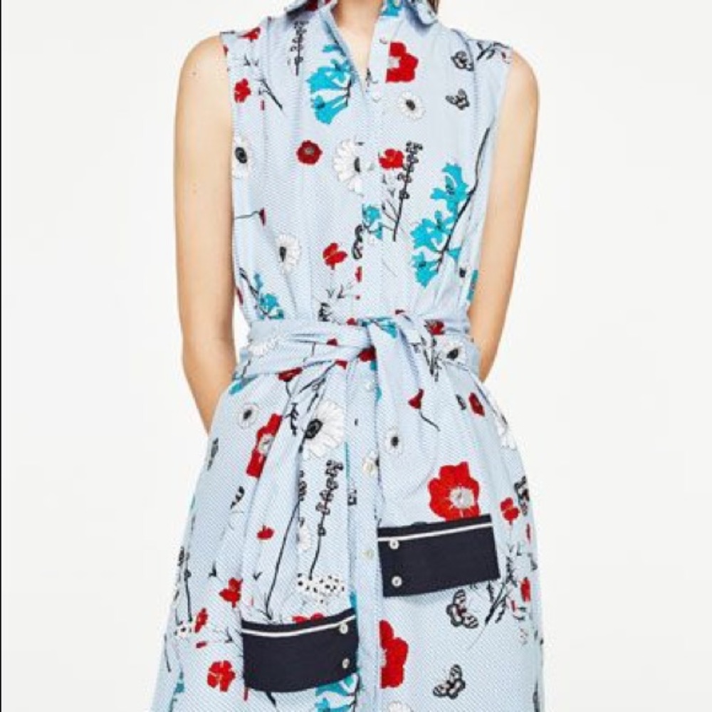 ZARA Stripes and Flowers tie dress